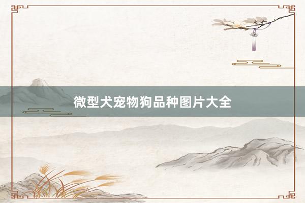 微型犬宠物狗品种图片大全