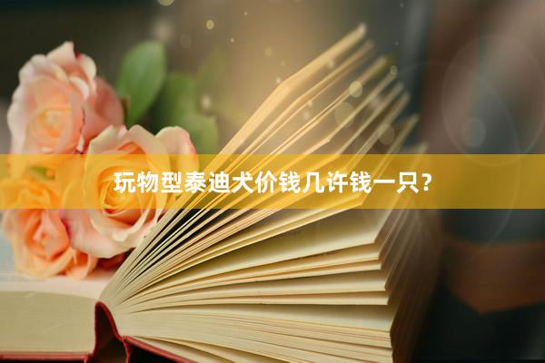 玩物型泰迪犬价钱几许钱一只？
